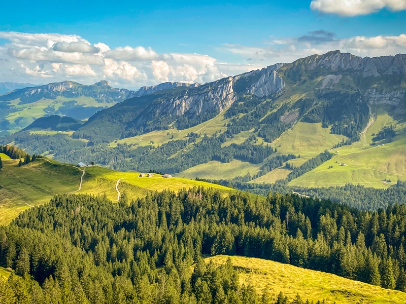 Déménagement à Uri, Déménagements à Uri, Déménager à Uri, Déménagement d‘Arnold à Uri, e-déménagement à Uri, Déménagement d‘Altdorf à Uri, Déménagement Hostettler à Muri bei Bern, Déménagement à Uri, Déménagement à Urdorf, Déménagement lors du carnaval à Urdorf, Déménagement lors du cortège de carnaval à Muri AG, Déménagement à Muri AG, Déménagements d‘Arnold à Uri, Déménagements à Basilisk, Déménagements à Baden, Déménagements à Bâle, Déménagements à Uznach, Entreprise de déménagement à Uri